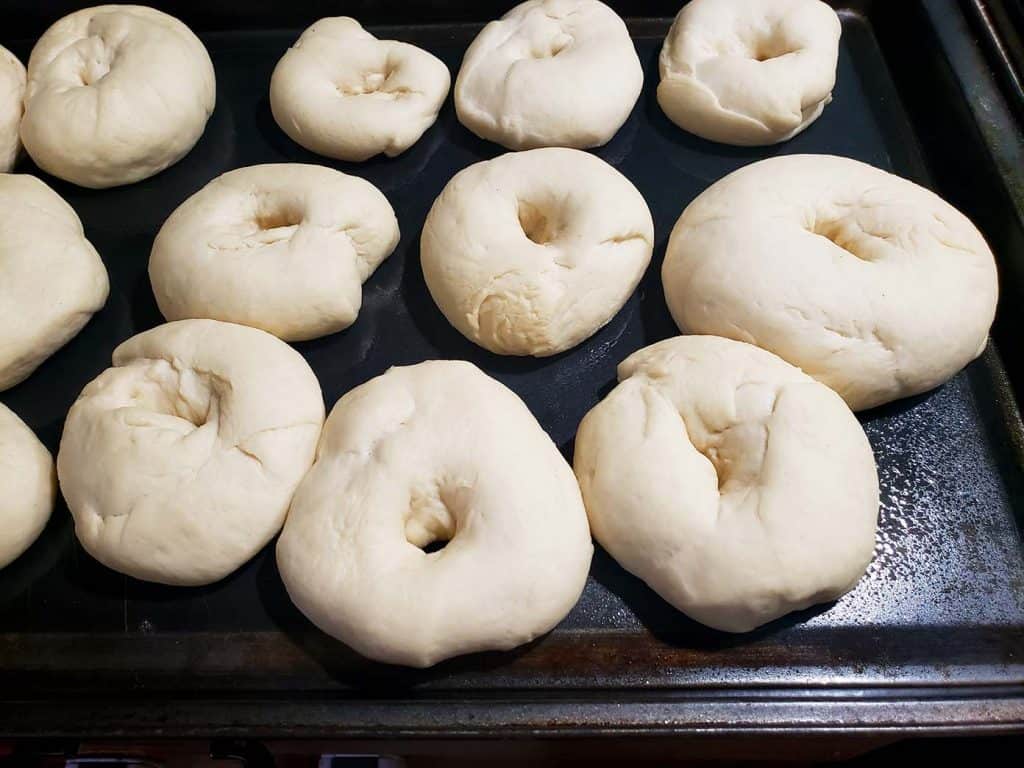 Bagel dough