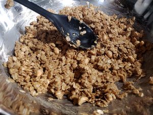 peanuts and oats in bowl