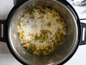 Chicken and Dumpling soup in an instant pot with frozen veggies and cream mixed into the osup